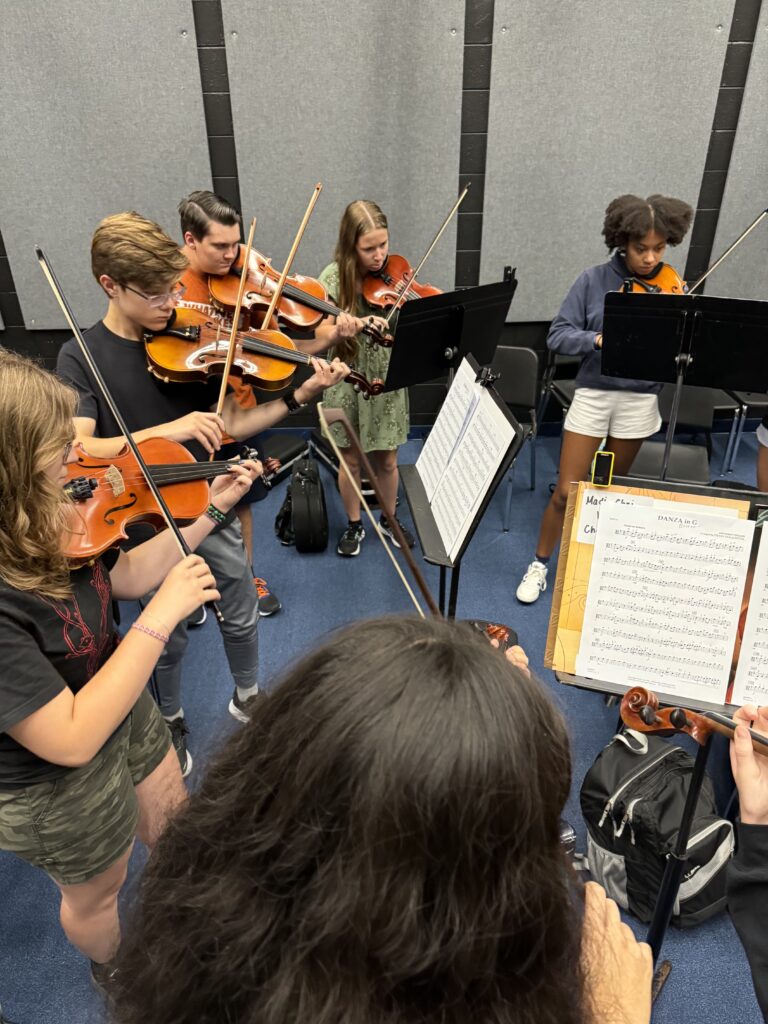 Chamber B violas.