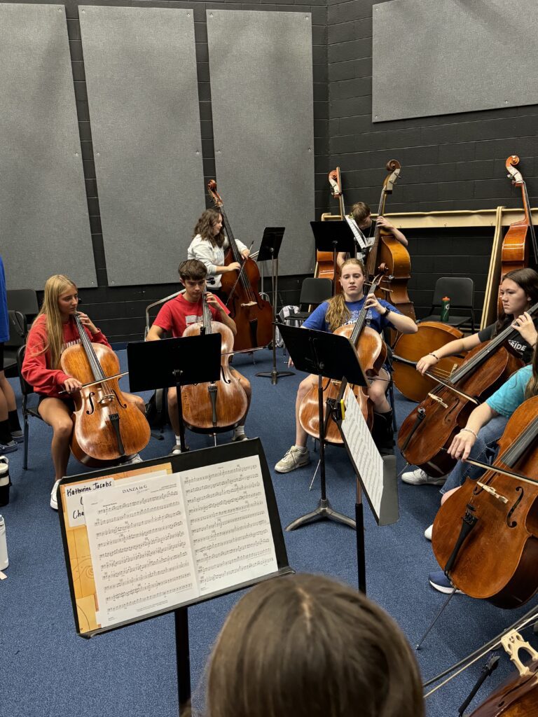 Chamber B cellos.