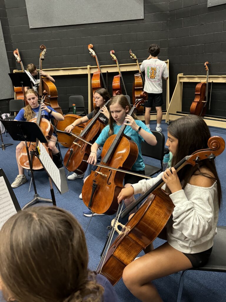 Chamber B cellos.