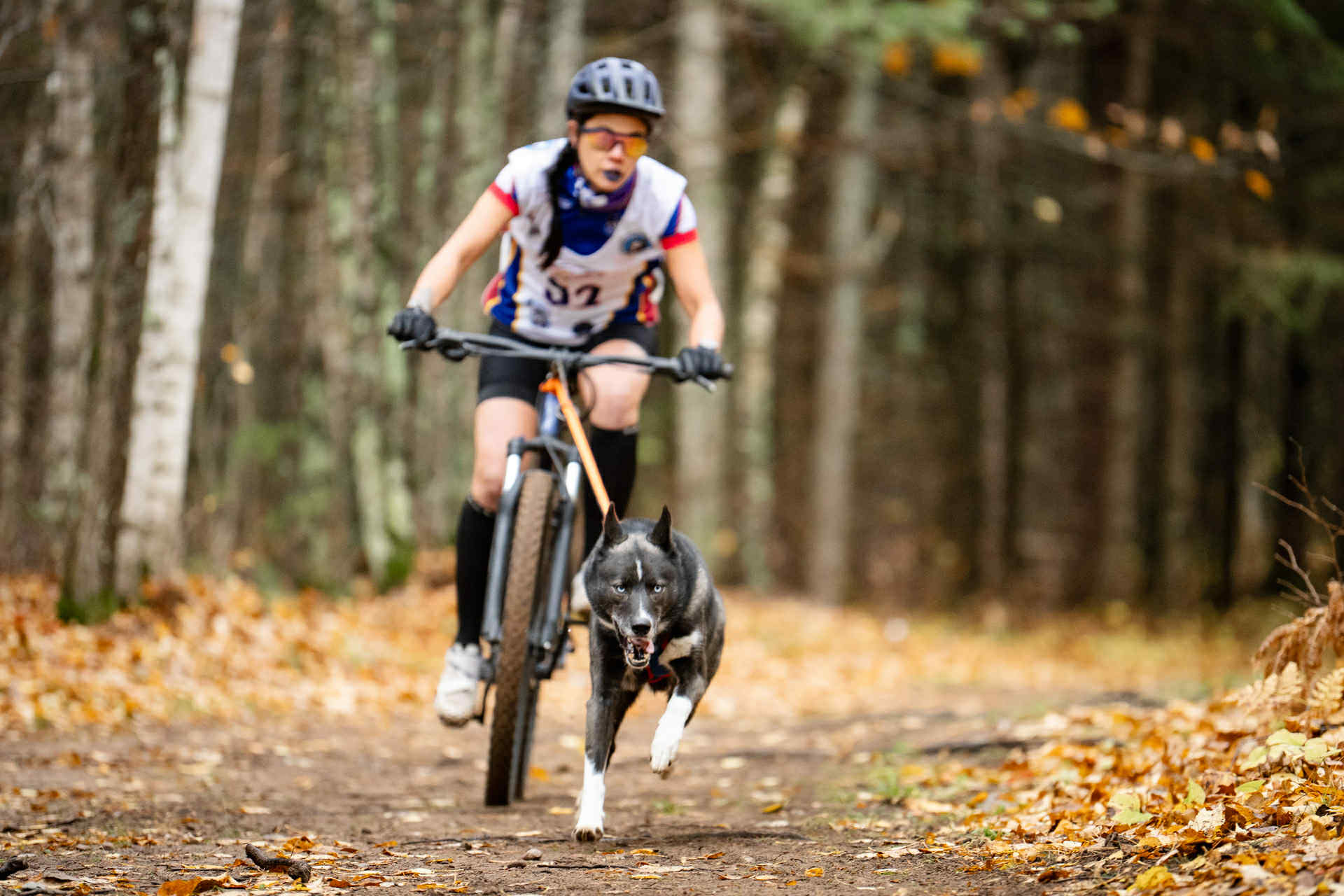 Woman on bike with dog running out if front