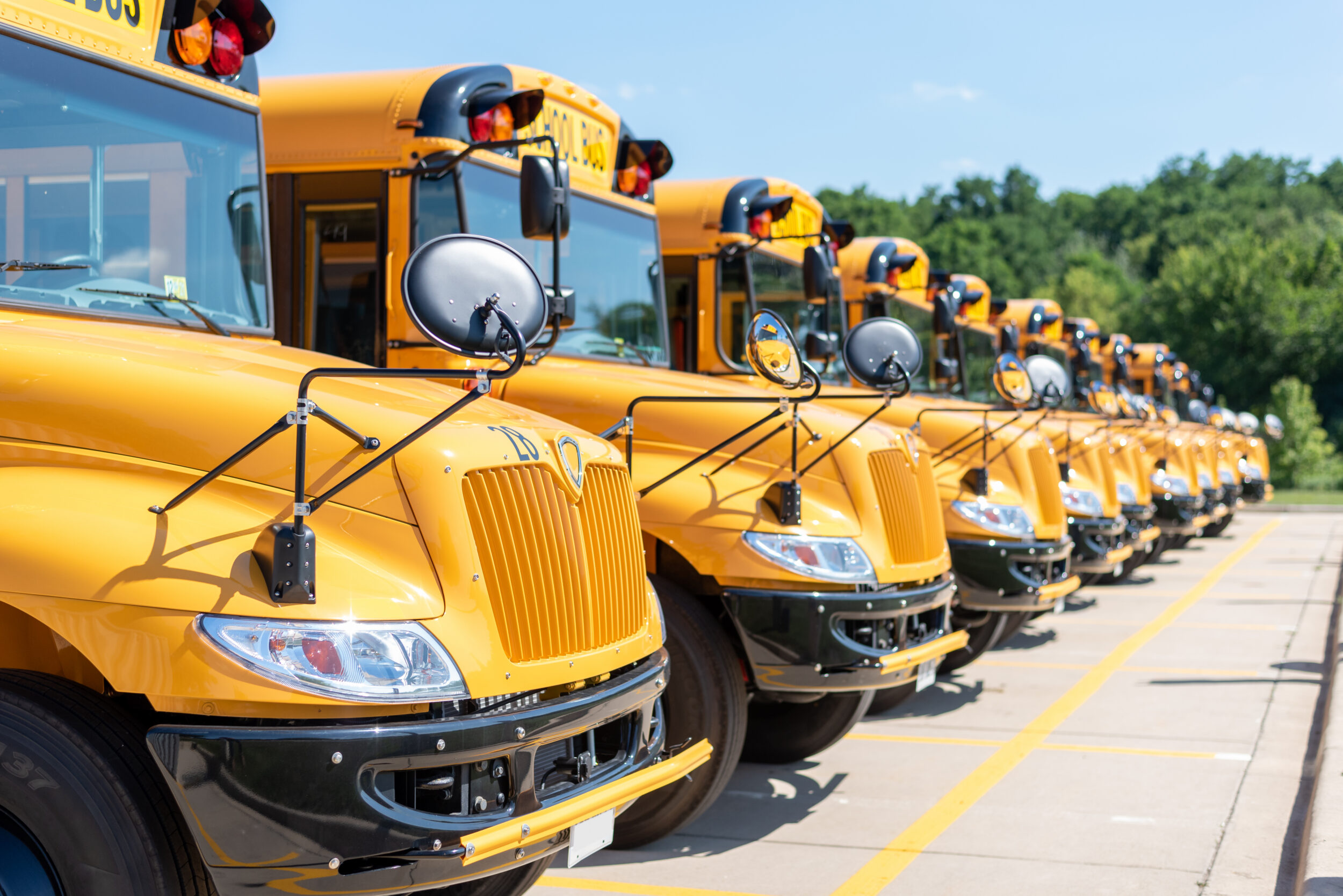Shiny yellow school buses parked in the school parking lot